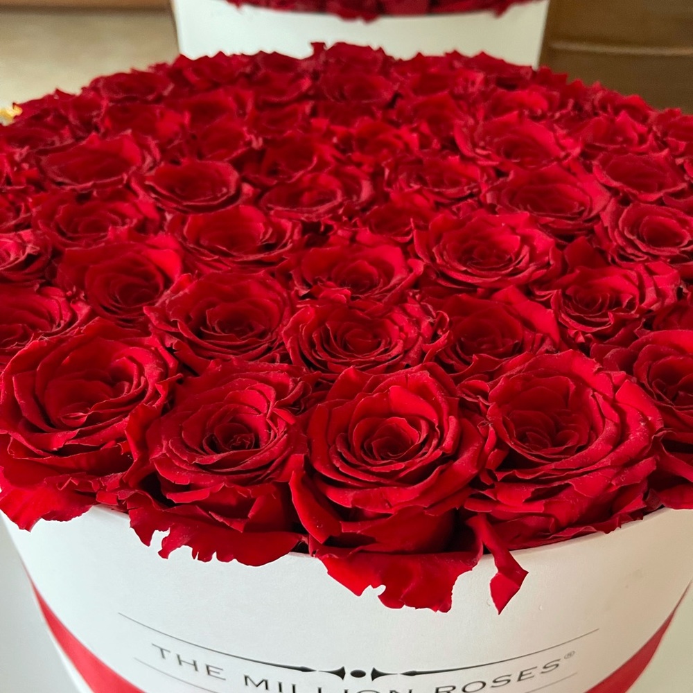 The Millions Roses - Picture 7 of 8